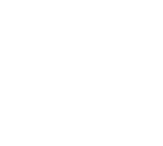 assessment icon