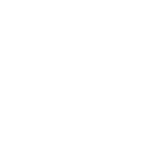 placement icon